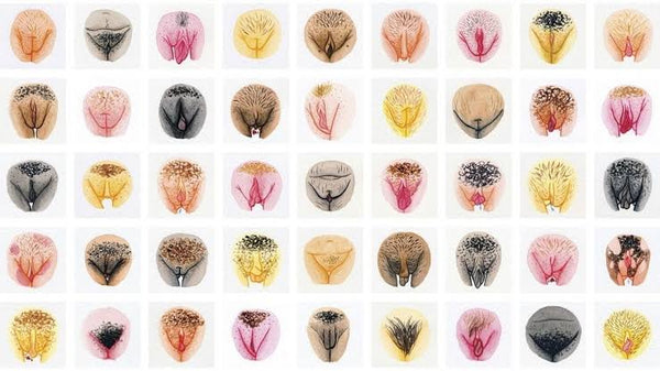 bullet-lilit-vulva-gallery